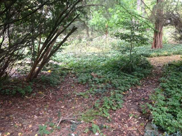 116 Siebert Road Pittsburgh, PA 15237 - Photo 20 of 20 Yard/Garden.