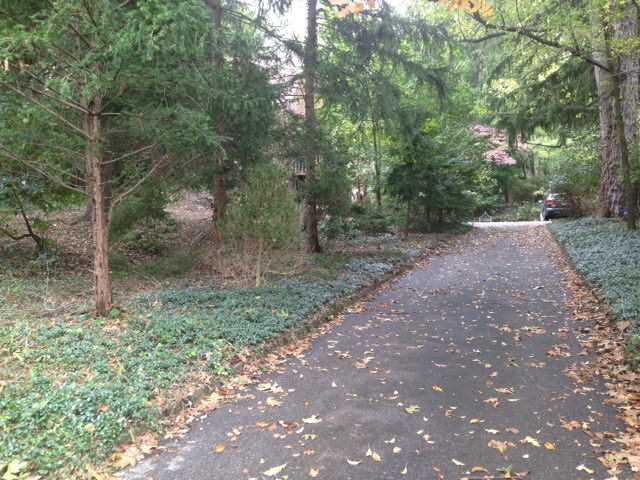 Other. Driveway