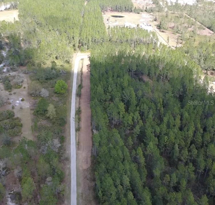 859 Wild Cur Road Pierson, FL 32180 - Photo 18 of 19 a view of a forest with a building