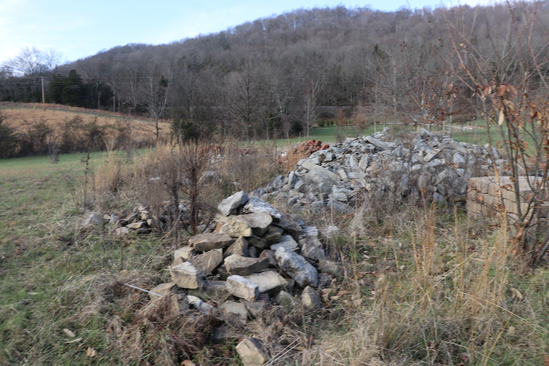 84 Judd Lane Lancaster, TN 38569 - Photo 13 of 33 a view of a forest with a forest