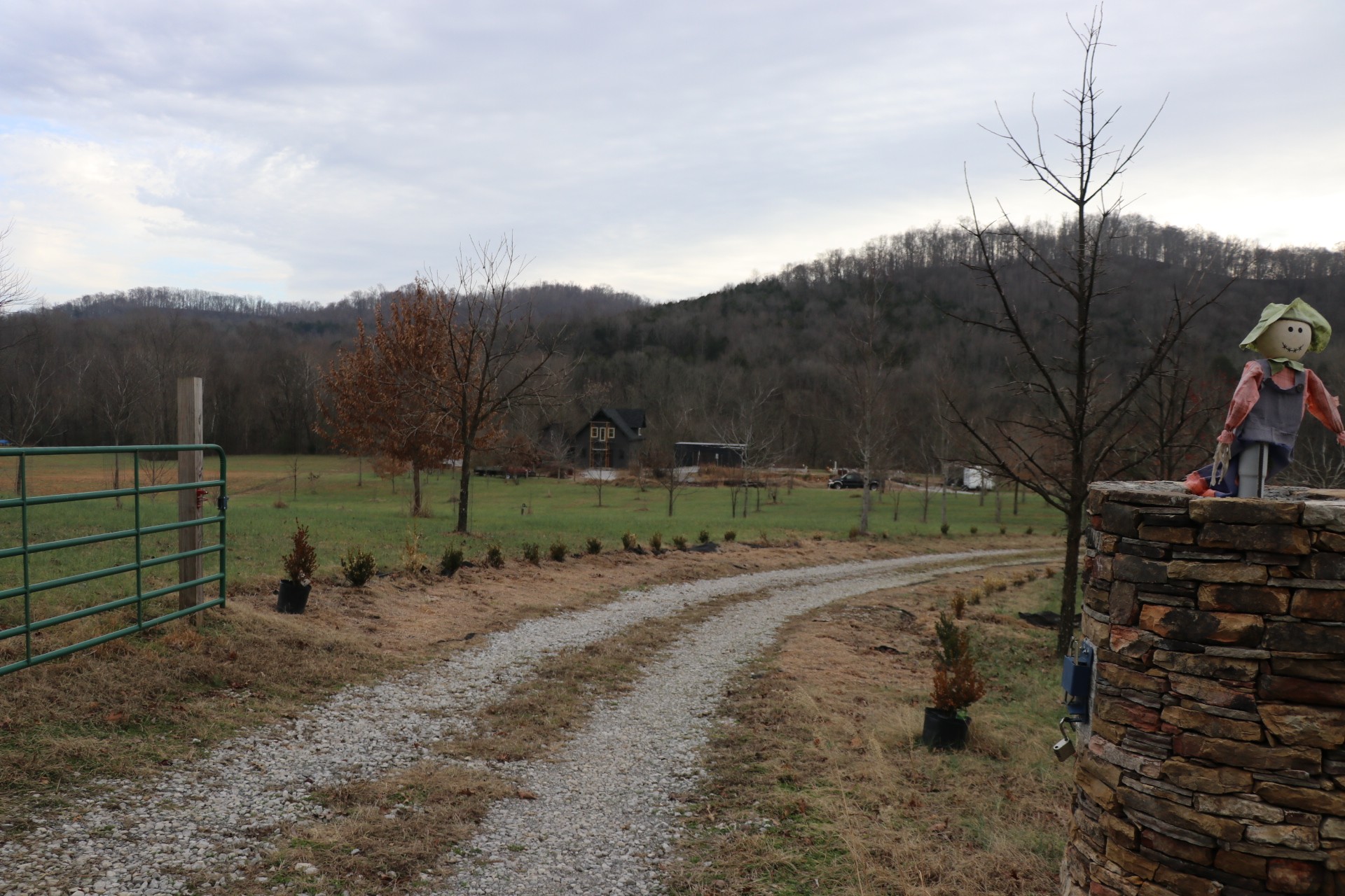 84 Judd Lane Lancaster, TN 38569 - Photo 15 of 33 a view of a park with large trees