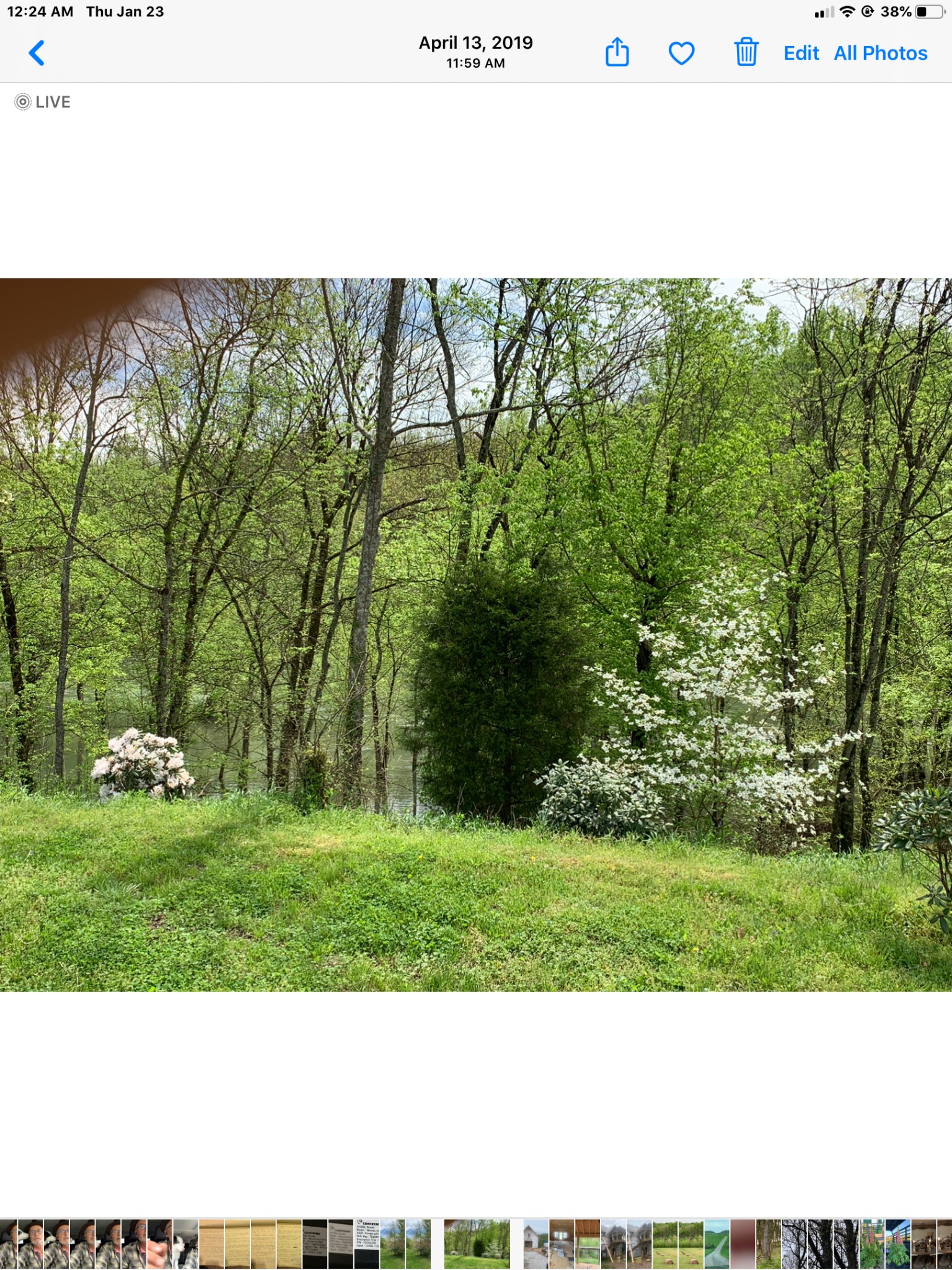 84 Judd Lane Lancaster, TN 38569 - Photo 19 of 33 a view of a big yard with large trees