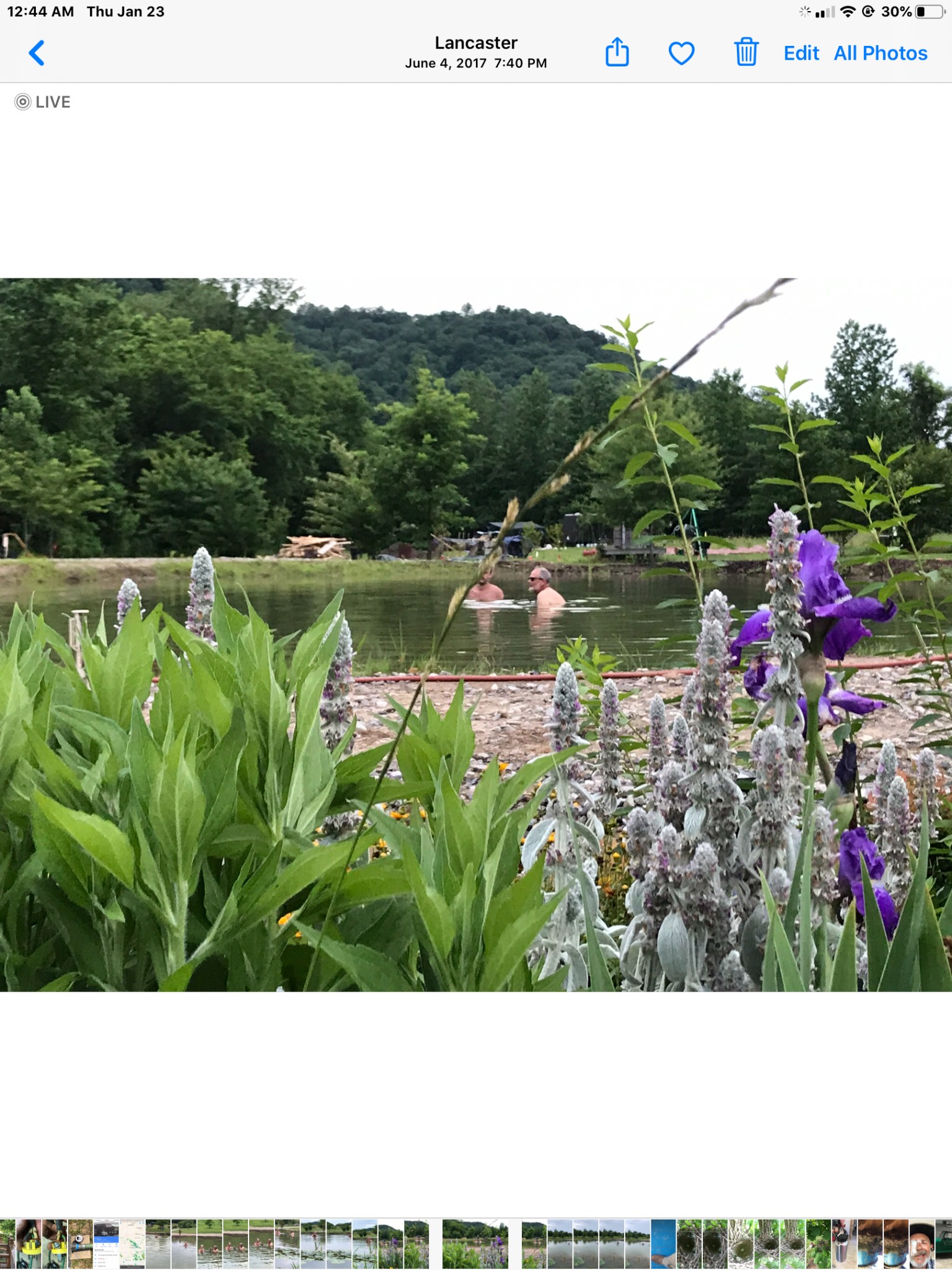84 Judd Lane Lancaster, TN 38569 - Photo 20 of 33 a view of a garden with a lake