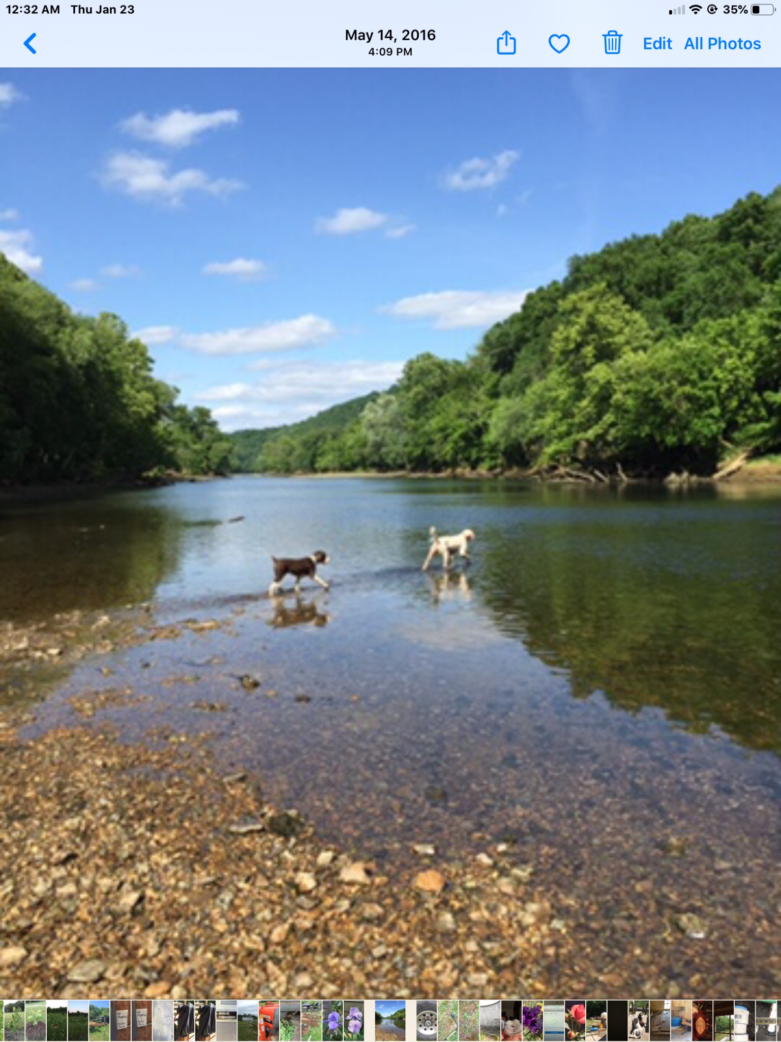 84 Judd Lane Lancaster, TN 38569 - Photo 22 of 33 a view of a lake with houses in the back