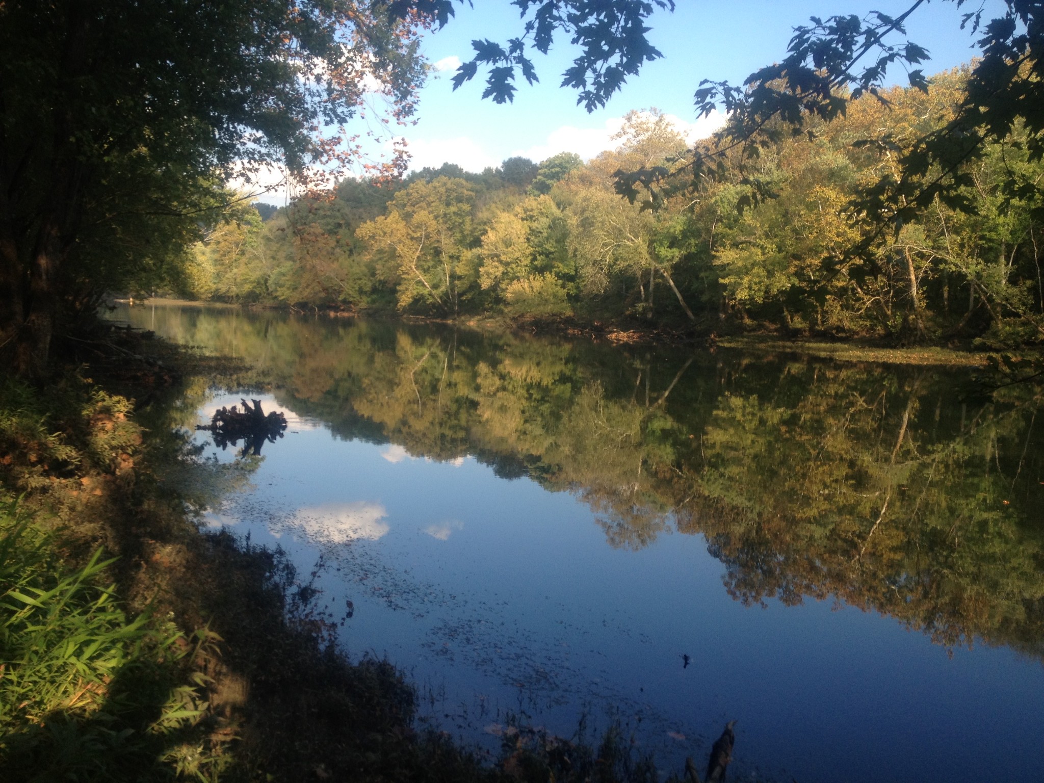 84 Judd Lane Lancaster, TN 38569 - Photo 26 of 33 a view of lake