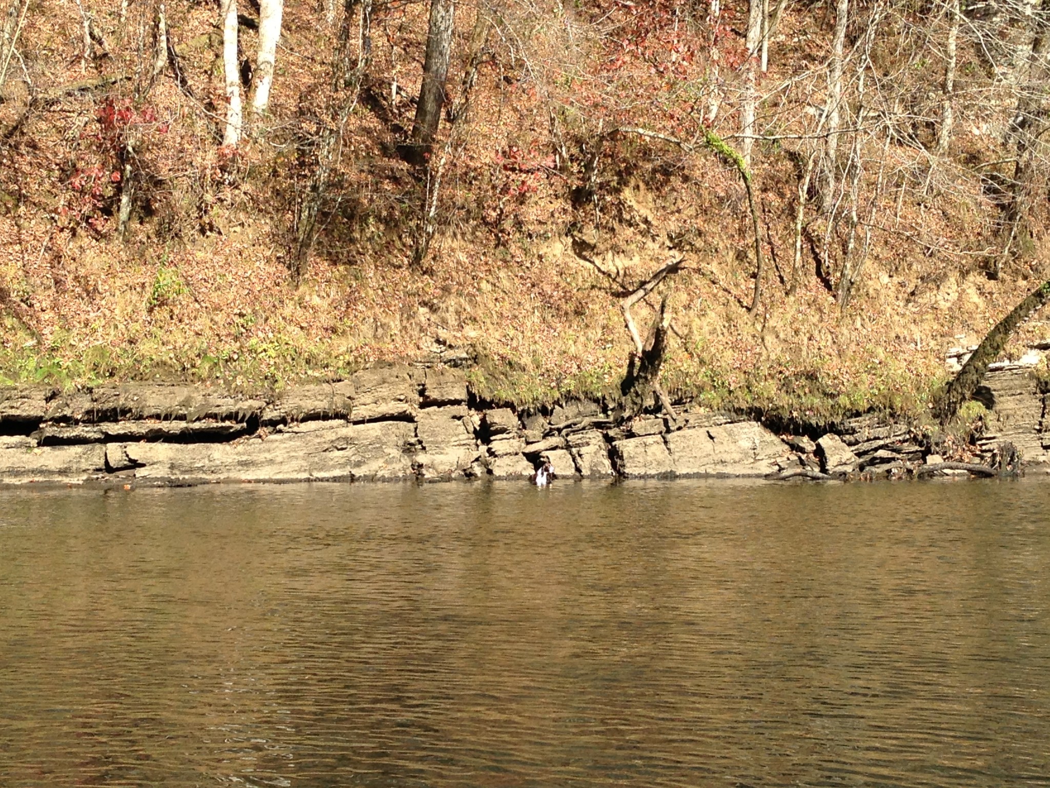 84 Judd Lane Lancaster, TN 38569 - Photo 5 of 33 a view of an ocean