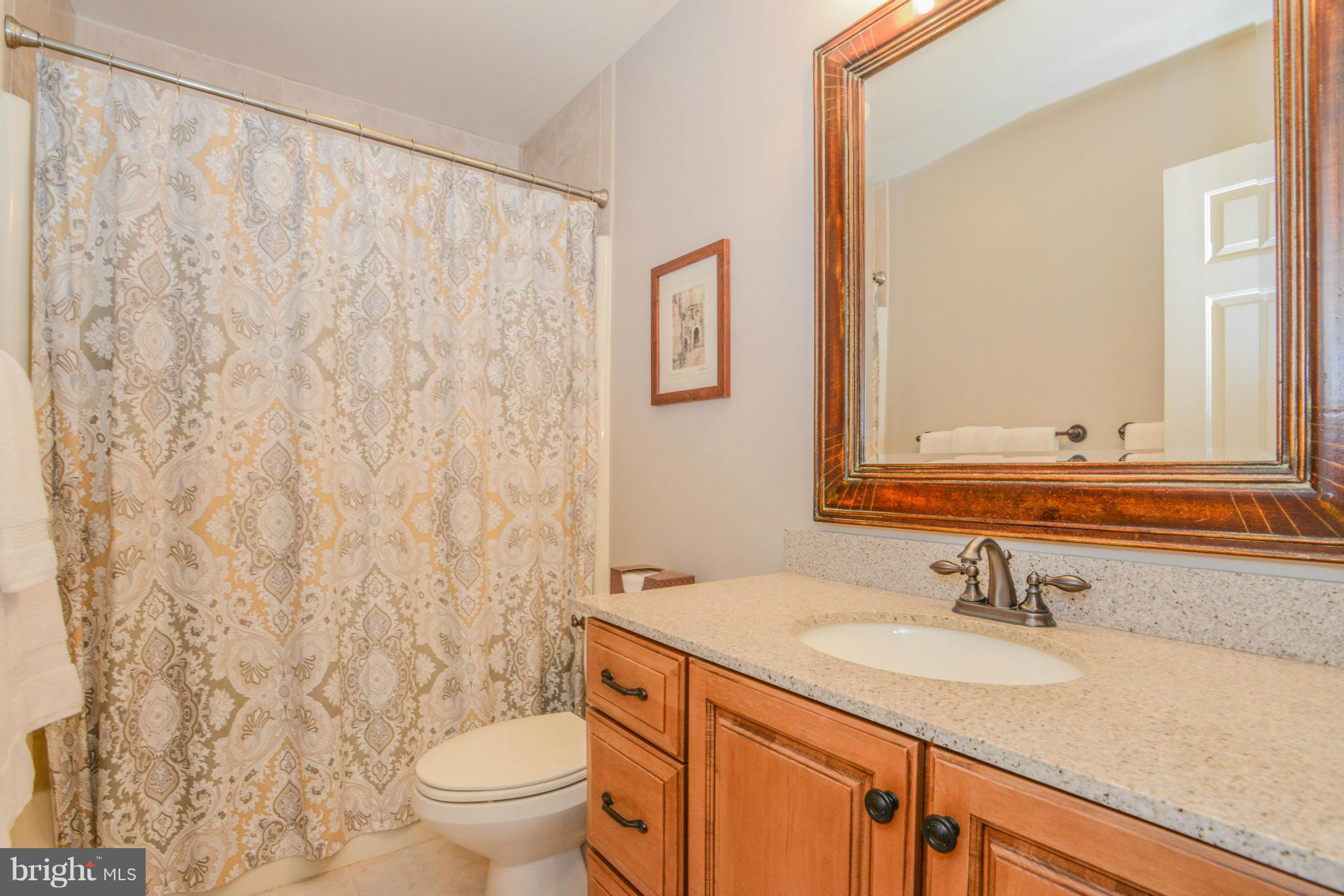 8159 Stone Ridge Drive Frederick, MD 21702 - Photo 22 of 30 Updated Hall Full Bath