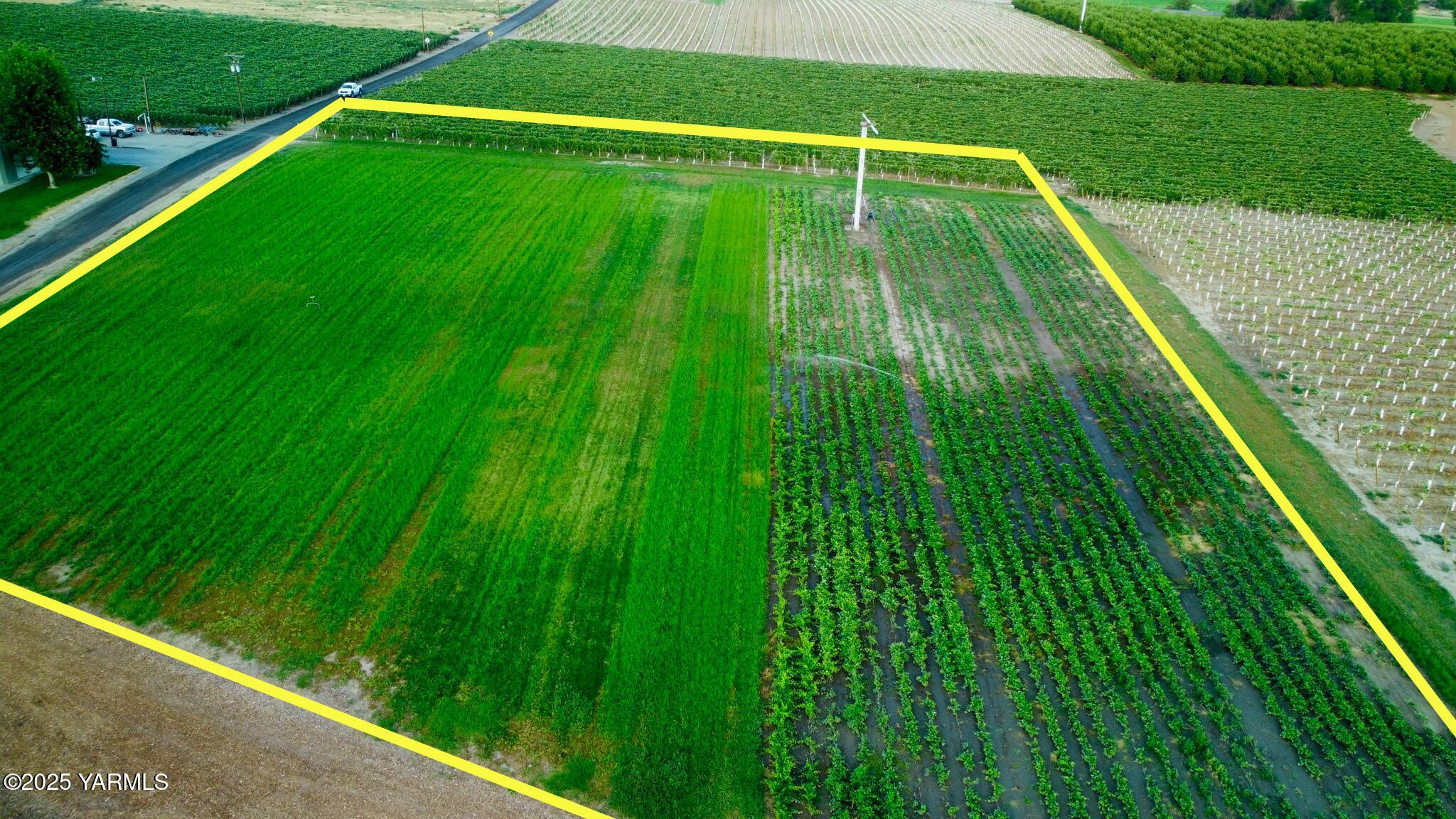 Nka Nka Sunnyside Canal Street East Zillah, WA 98953 - Photo 1 of 6 a view of a backyard