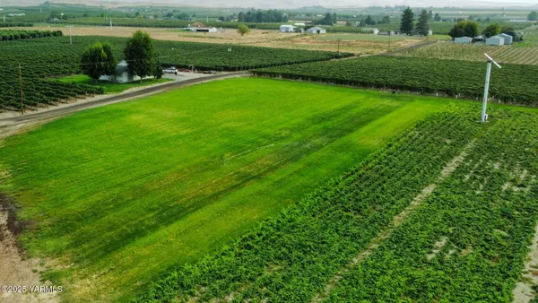 a view of outdoor space yard and green space