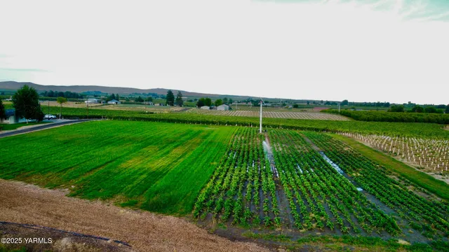 a view of an mountain and a yard