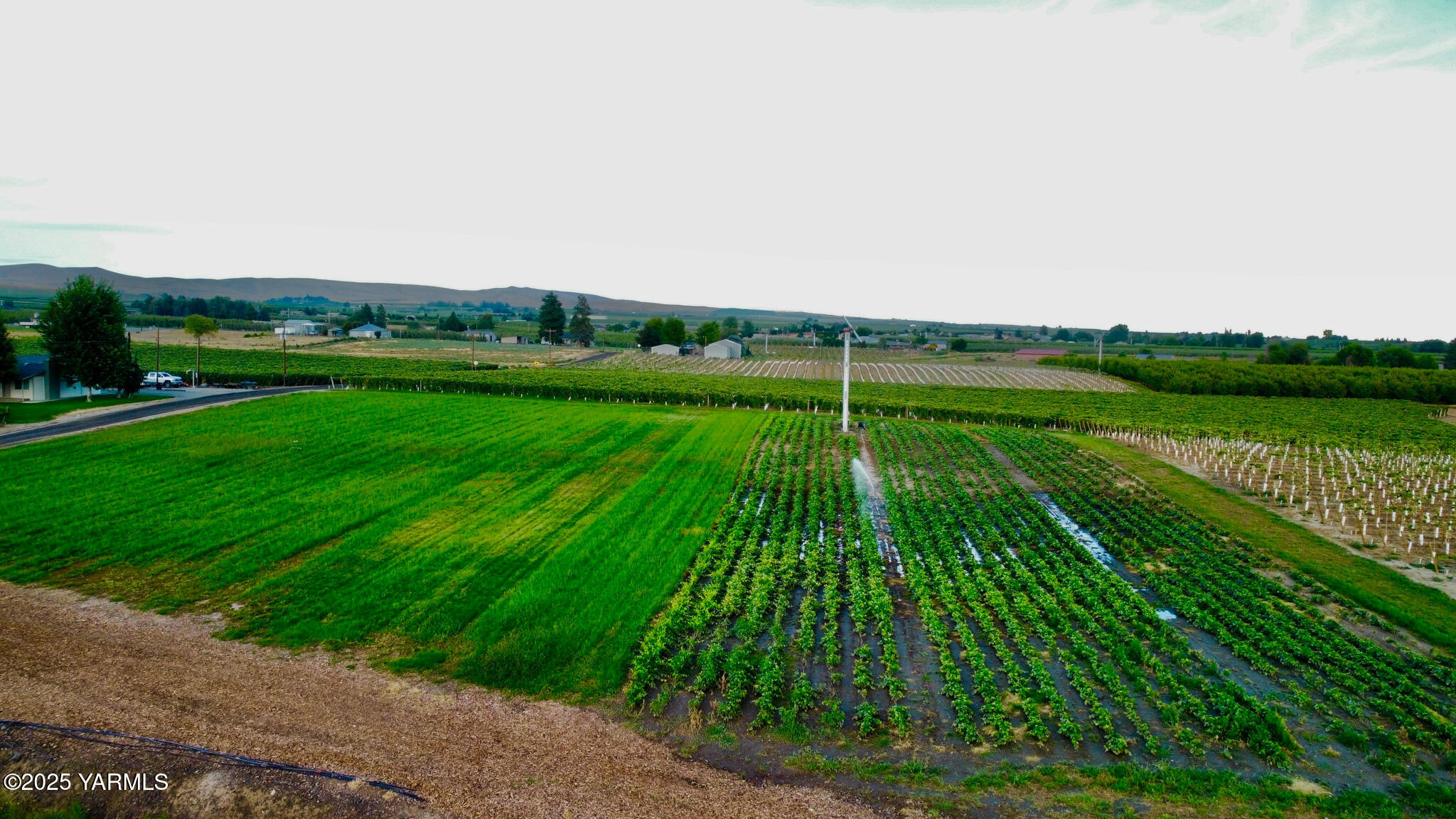 Nka Nka Sunnyside Canal Street East Zillah, WA 98953 - Photo 4 of 6