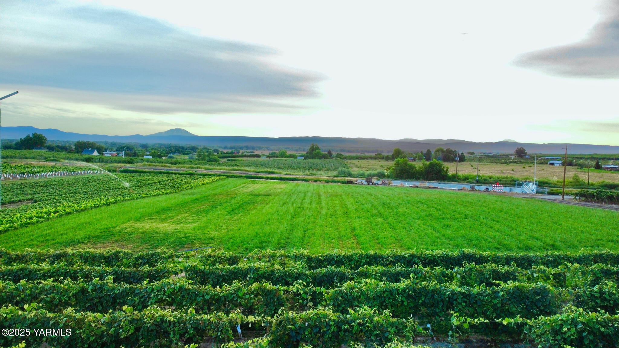 Nka Nka Sunnyside Canal Street East Zillah, WA 98953 - Photo 5 of 6 a view of an mountain and a yard