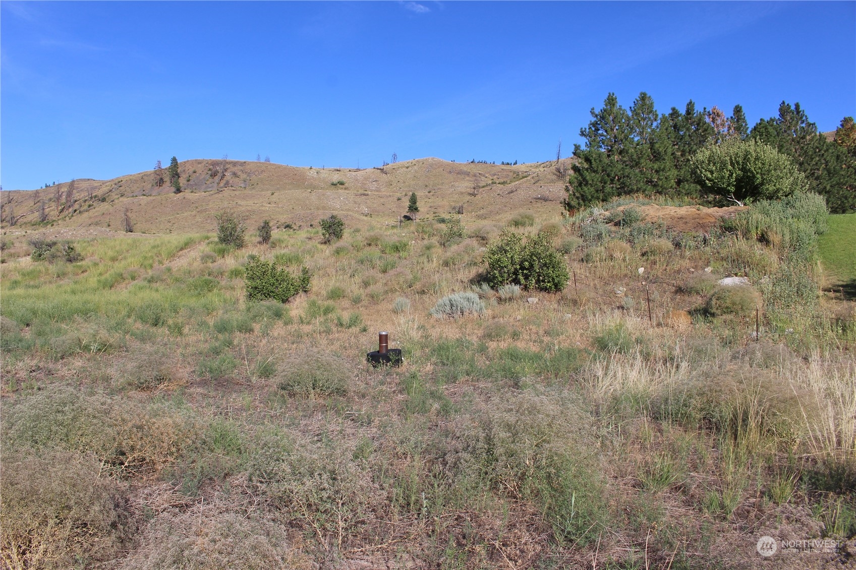24 Ross Road Twisp, WA 98856 - Photo 3 of 18 Gallery Image 3