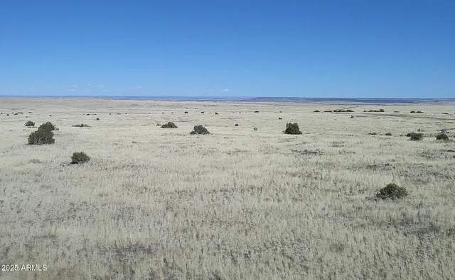 a view of mountain with trees in the background