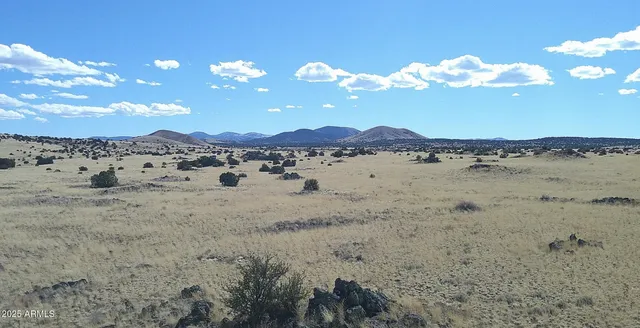 $4,999 | 102 County Road, Concho, AZ 85924