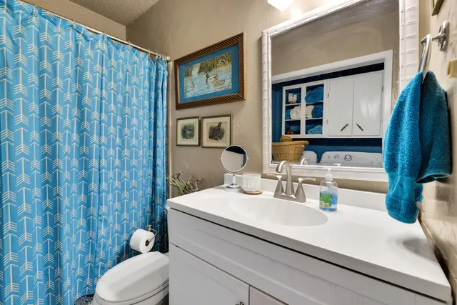 a bathroom with a sink toilet and shower curtain