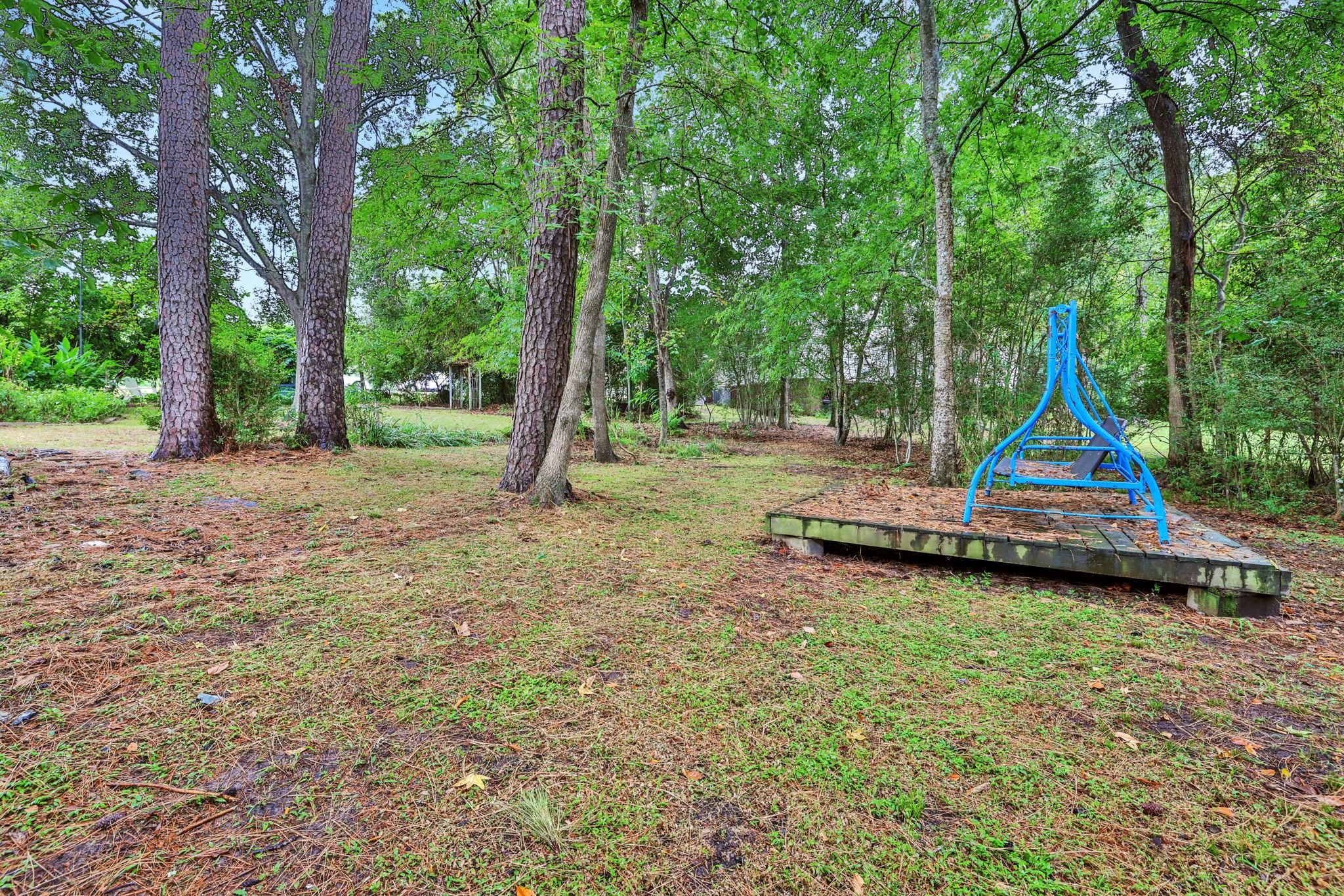 300 Timber Lane Coldspring, TX 77331 - Photo 32 of 43 a view of outdoor space with playground and green space