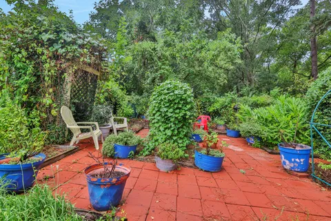 a view of a yard with plants and large trees