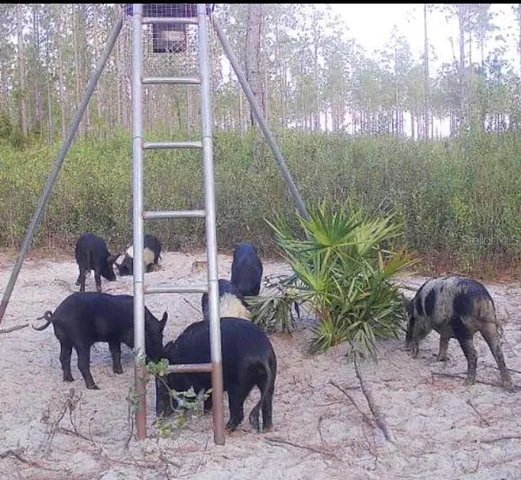 a view of yard with seating space