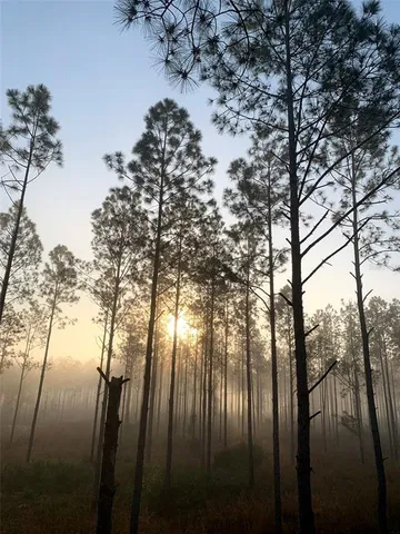 a view of backyard of house with green space