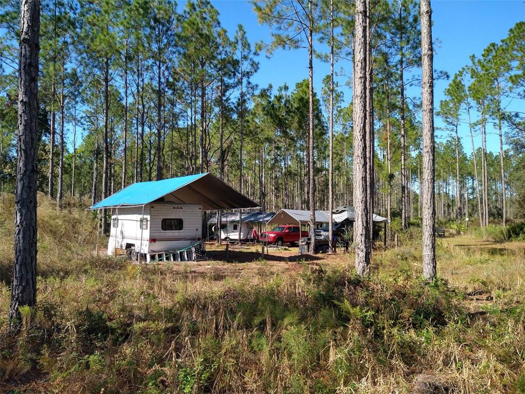 Clyatt Road Chiefland, FL 32626 - Photo 9 of 9 a view of a house with a yard and sitting area