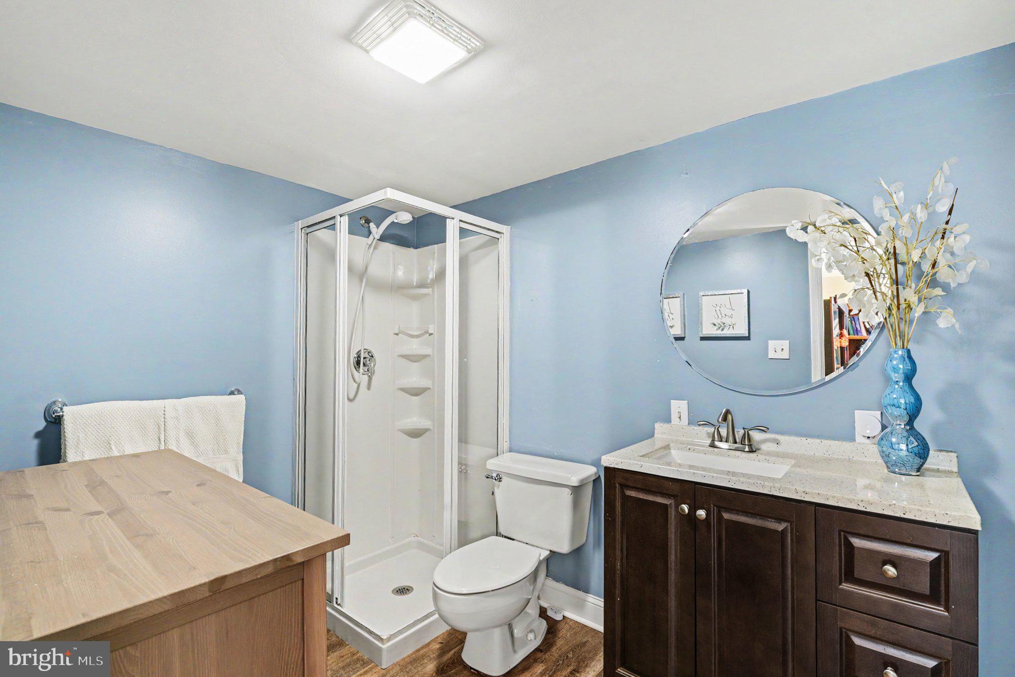 807 Red Fox Run Baltimore, MD 21286 - Photo 38 of 49