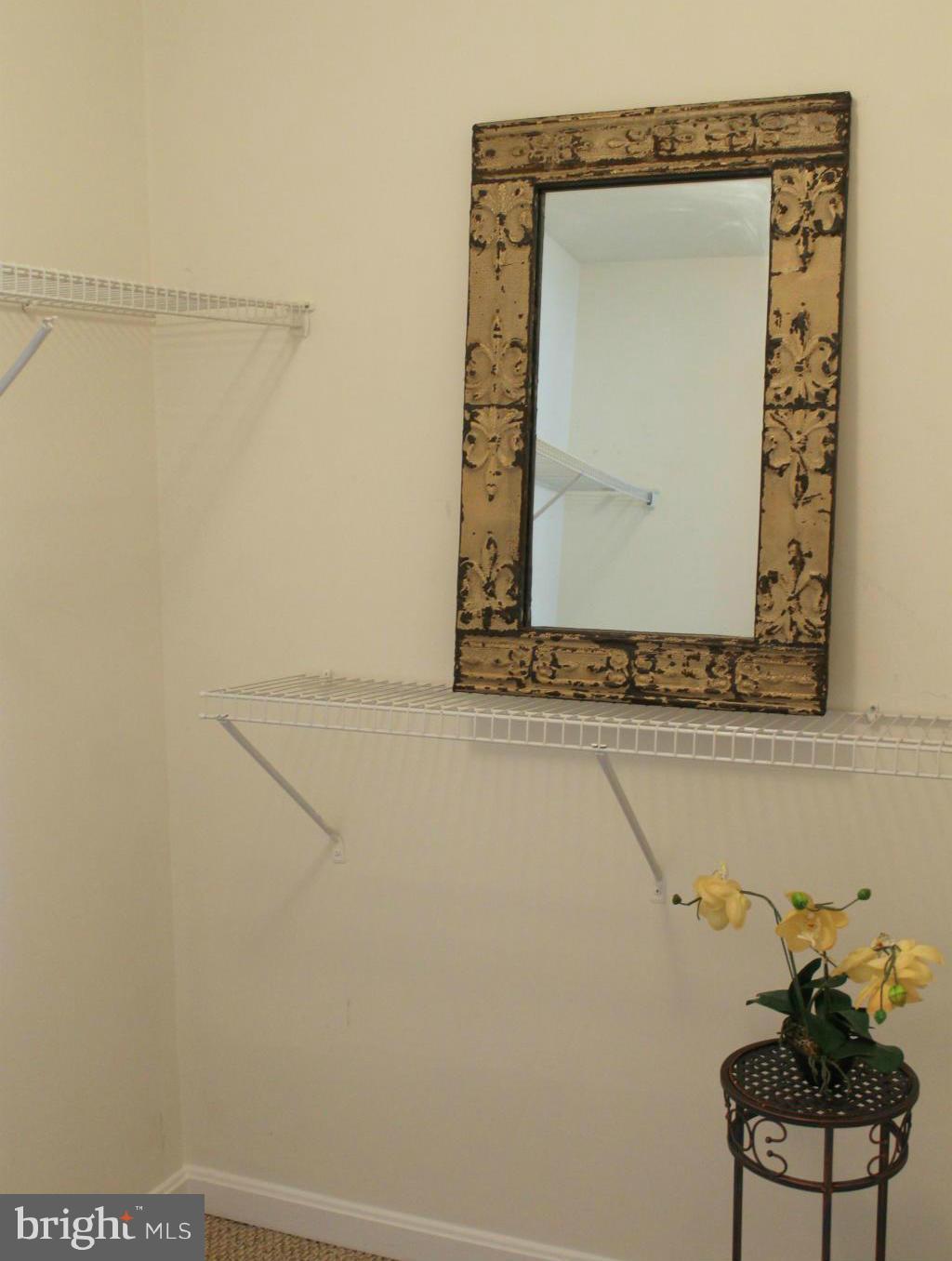 8728 Autumn Ridge Court Odenton, MD 21113 - Photo 12 of 26 WALK-IN CLOSET IS HUGE.