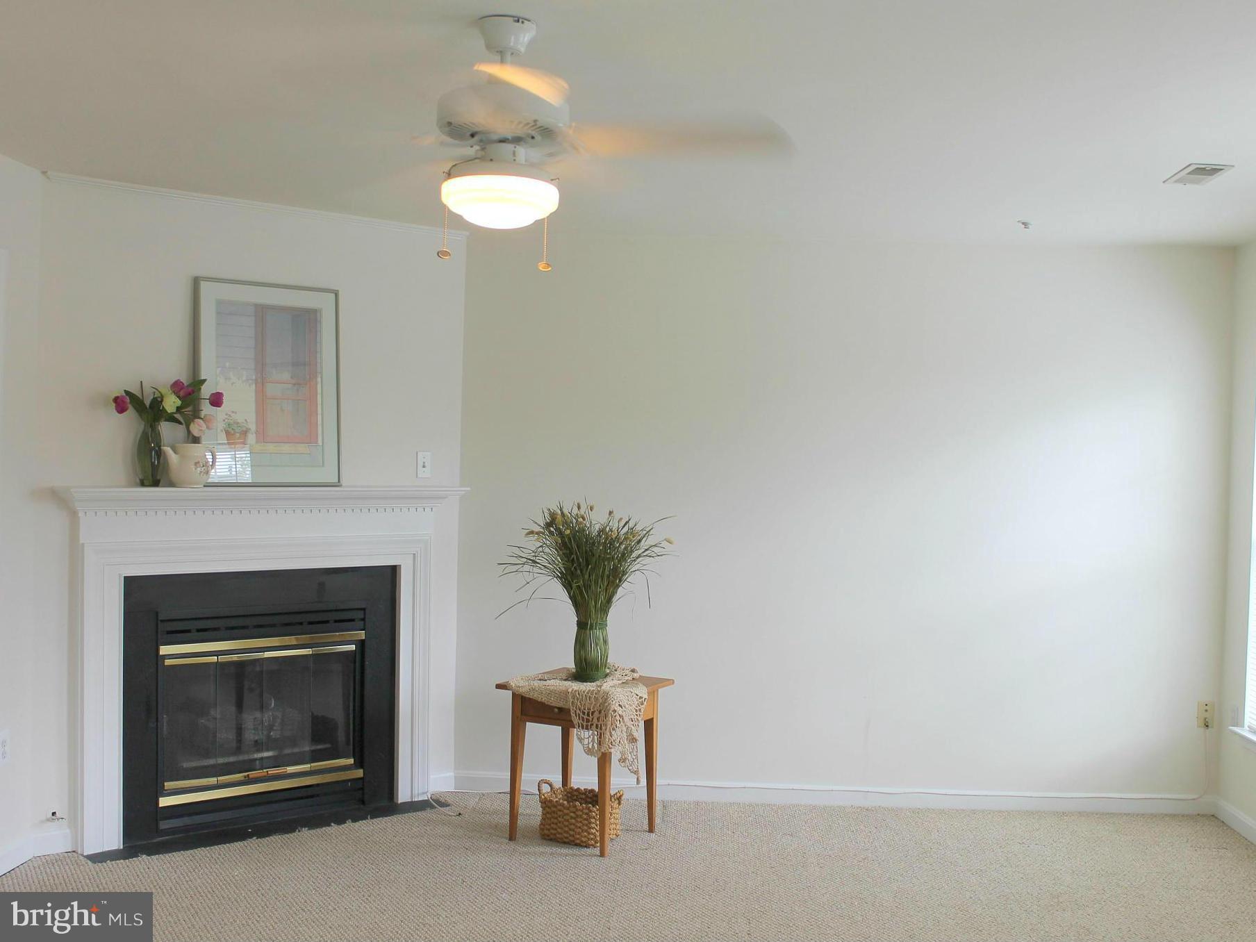 8728 Autumn Ridge Court Odenton, MD 21113 - Photo 9 of 26 MASTER BEDROOM (HUGE) W/FIREPLACE.