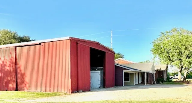 a view of a yard with a large tree