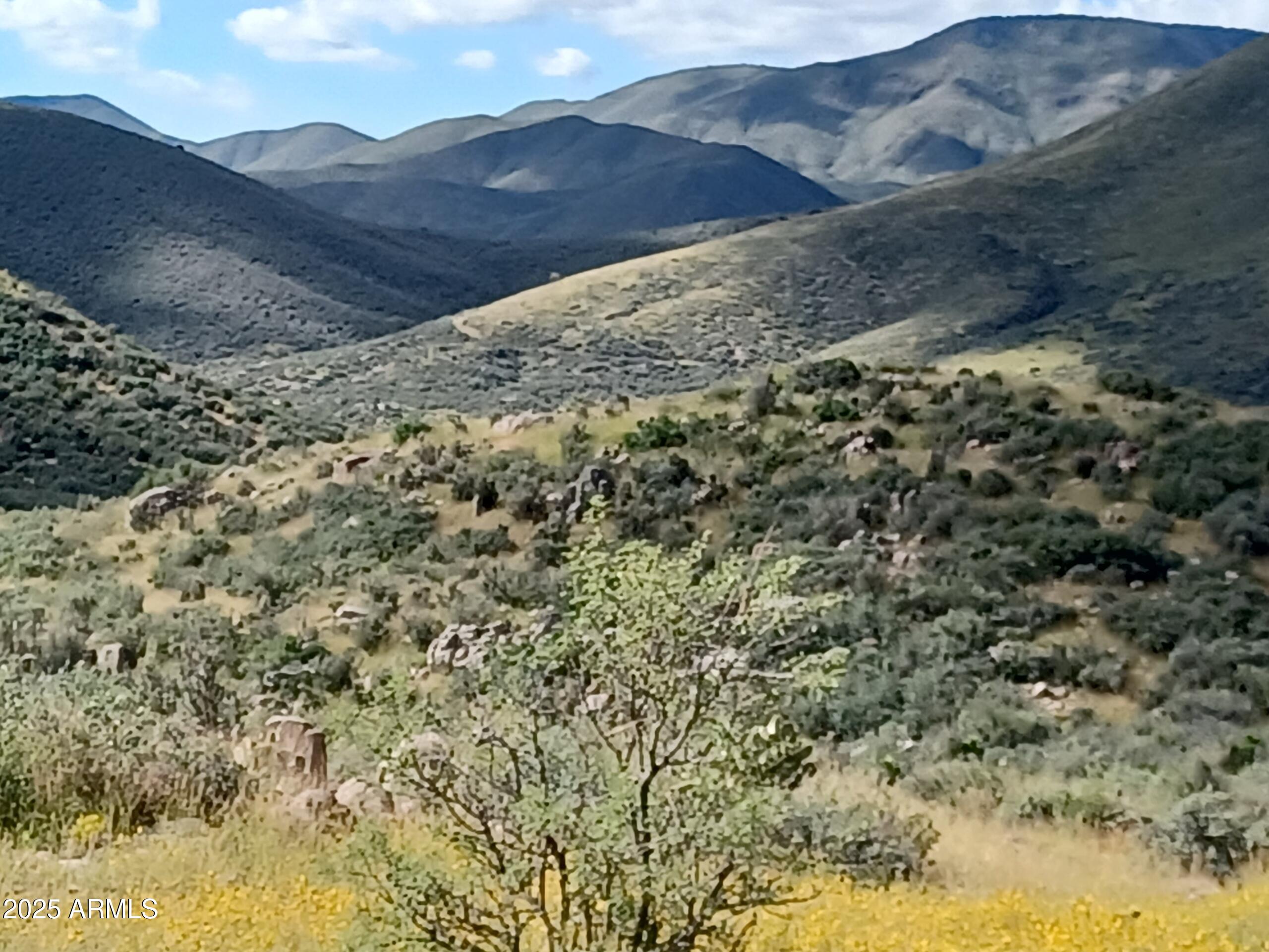 5668 Miners Pick Road Mayer, AZ 86333 - Photo 12 of 39 GJWQ7746