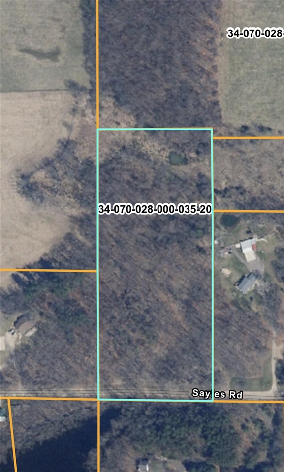 0 Sayles Road Saranac, MI 48881 - Photo 11 of 11