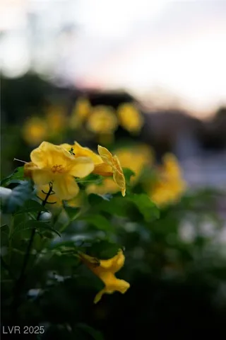 $2,190,000 | 7 Summit Walk Trail, Henderson, NV 89052