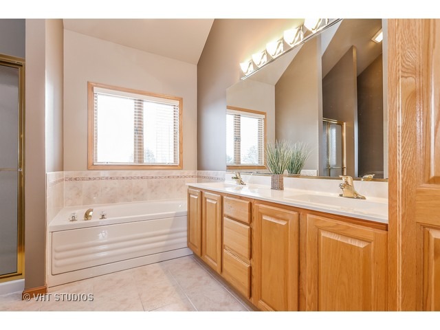 10808 West Riviera Drive Spring Grove, IL 60081 - Photo 8 of 16 a bathroom with a bathtub and a sink