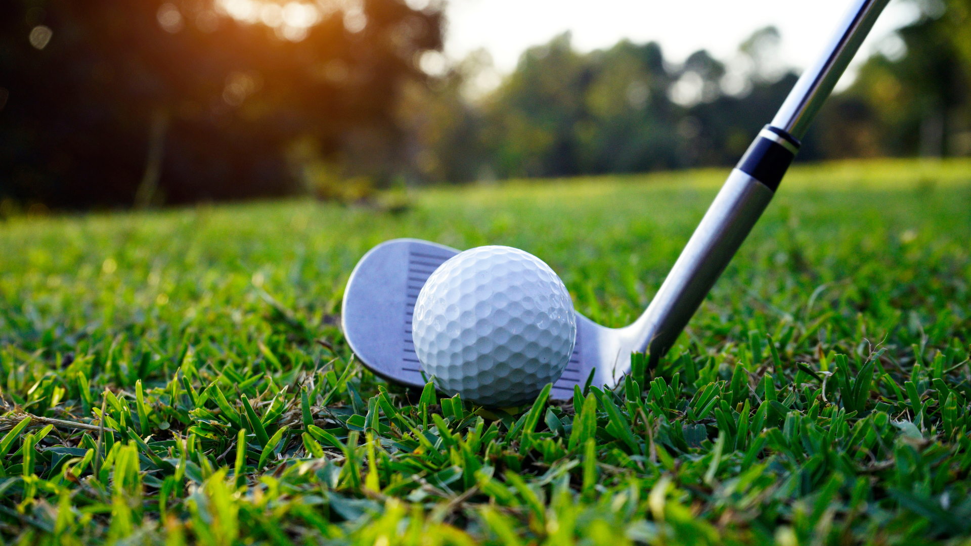 309 Lindsay Road Hudson, WI 54016 - Photo 86 of 103