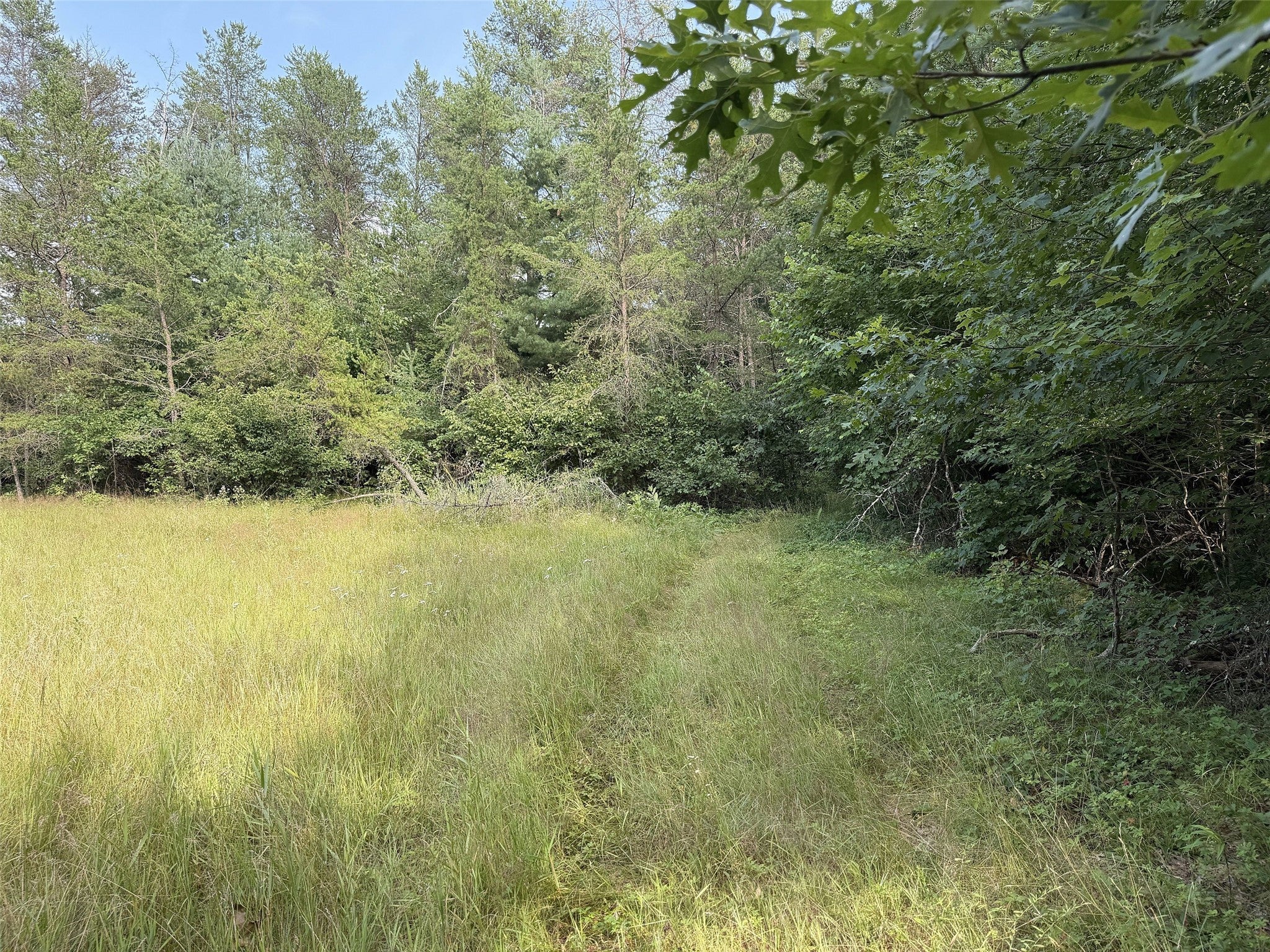 13160 Camp Road Fairchild, WI 54741 - Photo 10 of 32 Gallery Image 10