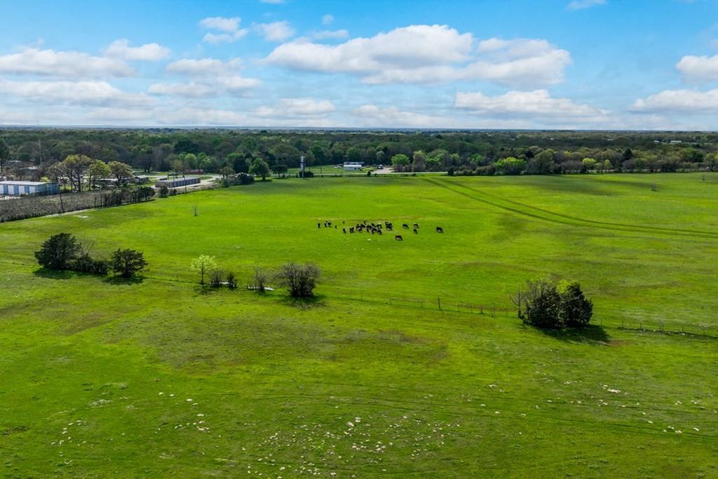 0 Tx-274 Kemp, TX 75143 - Photo 11 of 16