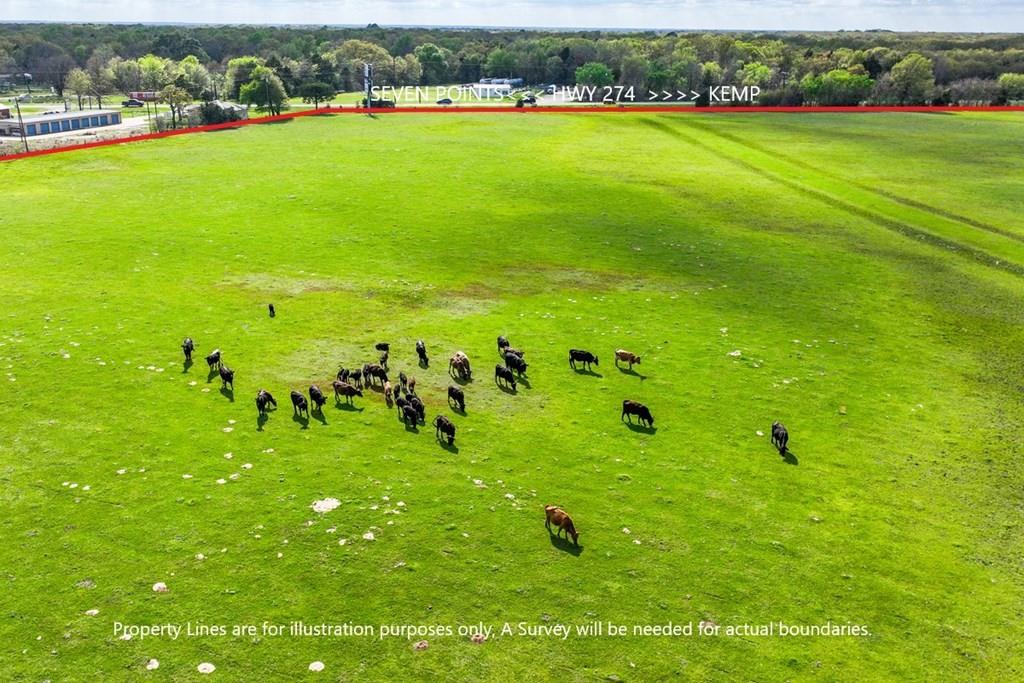 0 Tx-274 Kemp, TX 75143 - Photo 15 of 16