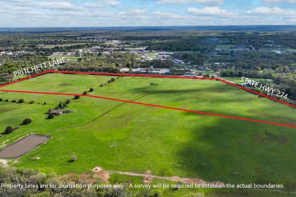 0 Tx-274 Kemp, TX 75143 - Photo 4 of 16