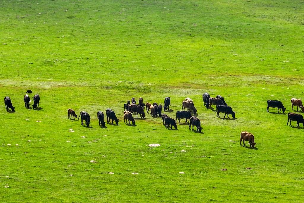 0 Tx-274 Kemp, TX 75143 - Photo 9 of 16