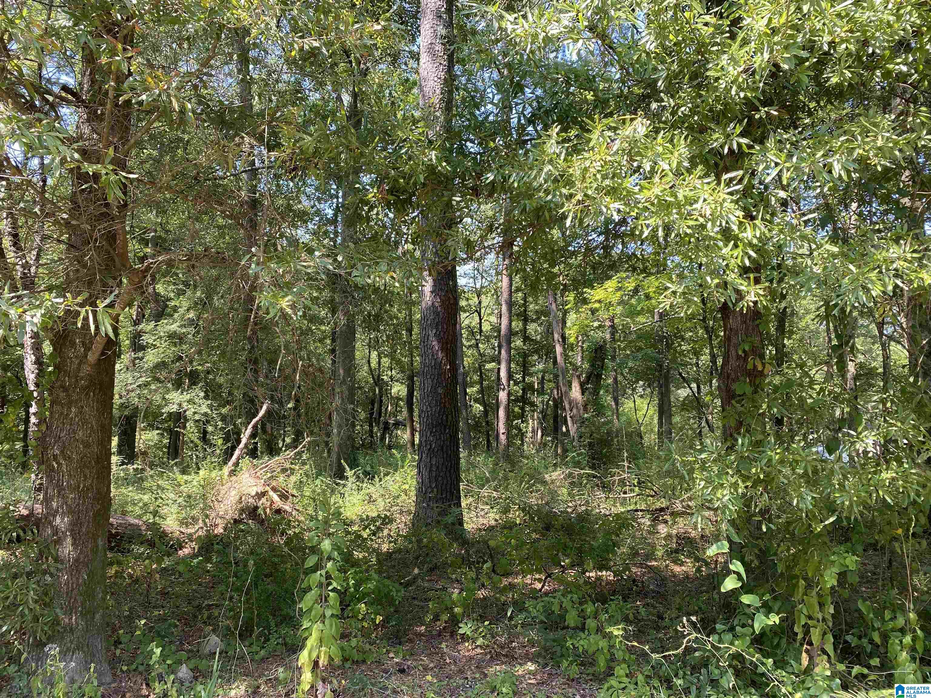 1916 Potter Road, Unit 1916 Bessemer, AL 35020 - Photo 1 of 3