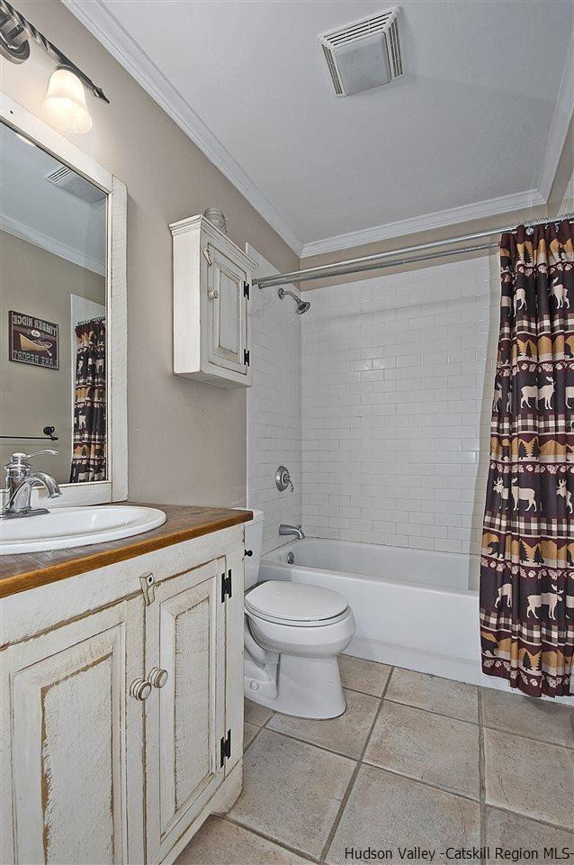 522 Buck Road Stone Ridge, NY 12484 - Photo 23 of 30 a bathroom with a sink a toilet and shower