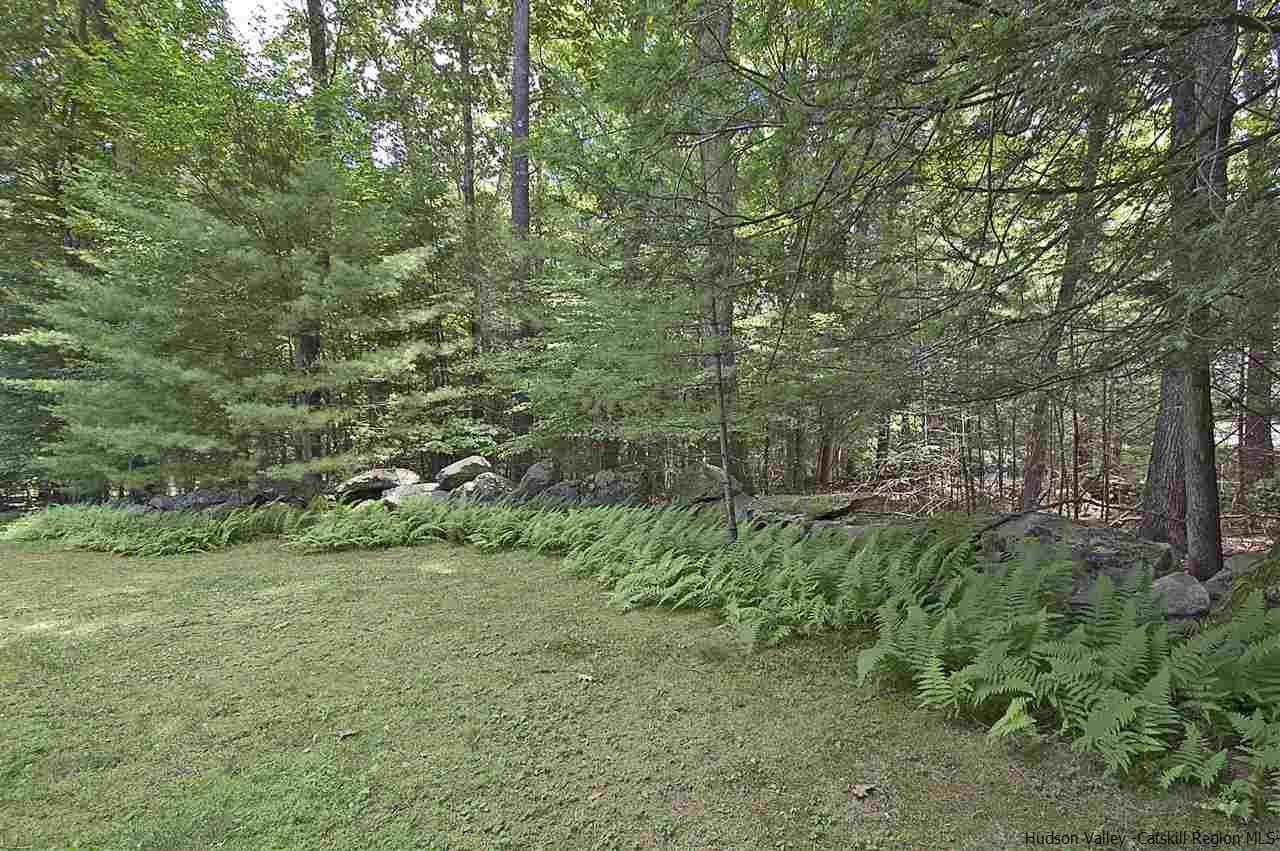 522 Buck Road Stone Ridge, NY 12484 - Photo 26 of 30 a view of a forest with a trees