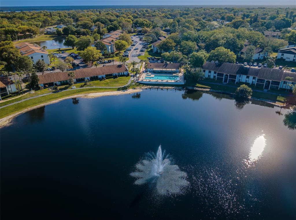 2687 Pine Ridge Way South, Unit B2 Palm Harbor, FL 34684 - Photo 62 of 68 an aerial view of residential houses with outdoor space and lake view
