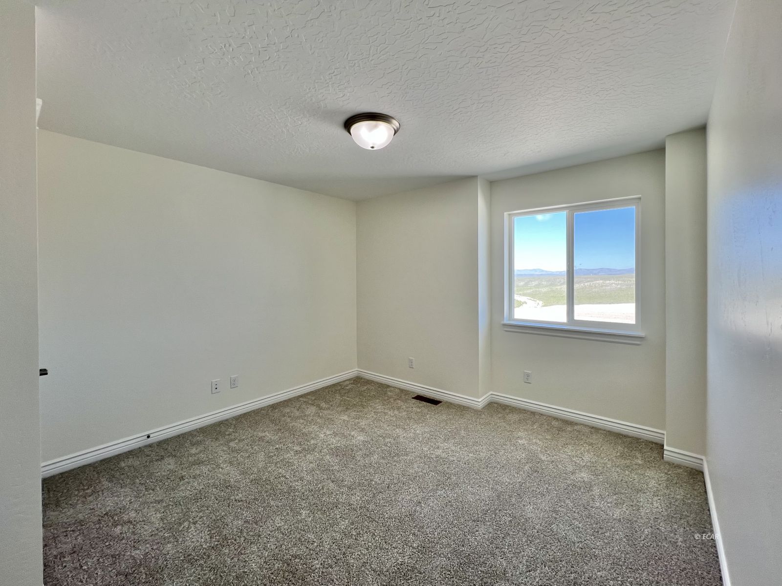 298 Diamond Rdg Drive Spring Creek, NV 89815 - Photo 19 of 33