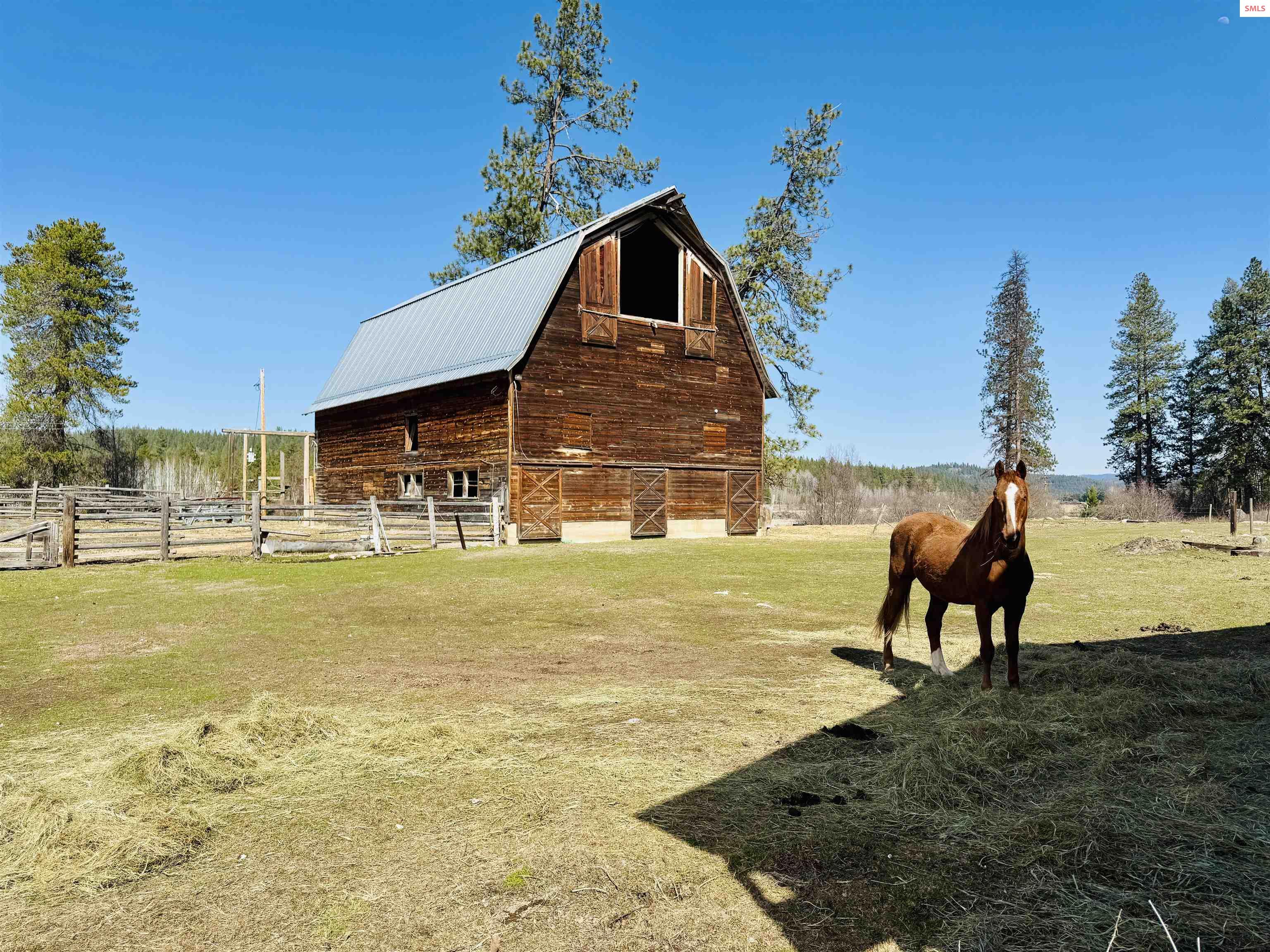 4610 Kelso Lake Road Athol, ID 83801 - Photo 3 of 71 Gallery Image 3