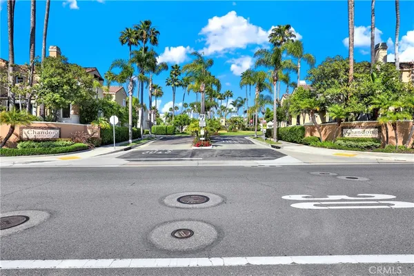 a view of a yard with flower plants