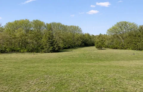 a view of a field with an ocean
