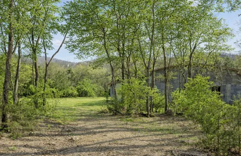 a view of a grassy field with trees