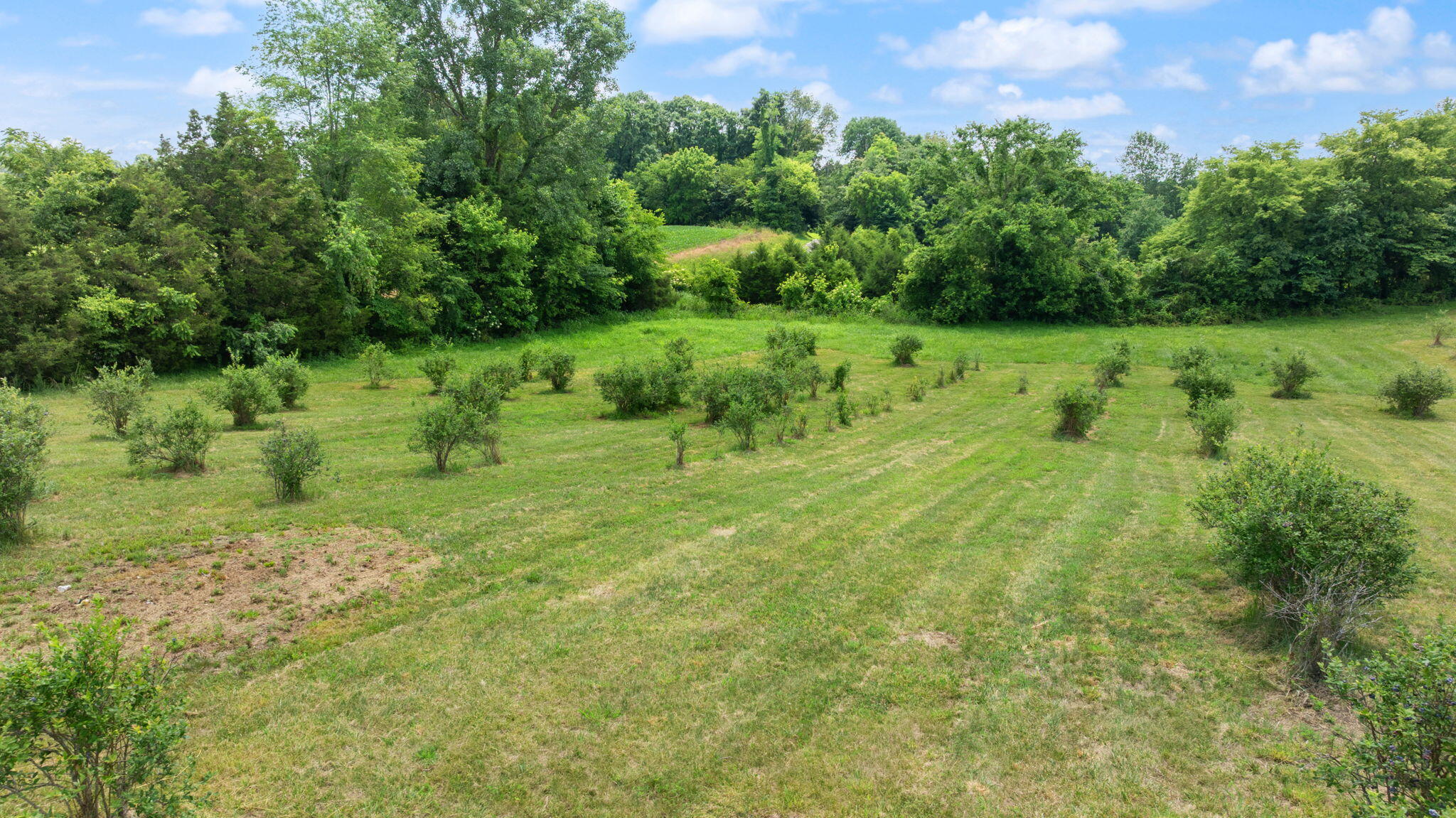 1717 Halltown Road Canmer, KY 42722 - Photo 38 of 83 67-web-or-mls-DJI_20260606141525_0495_D