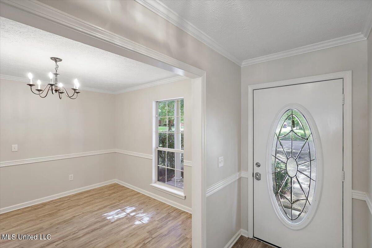 206 Clark Farms Road Madison, MS 39110 - Photo 4 of 23 11-HTP_4538